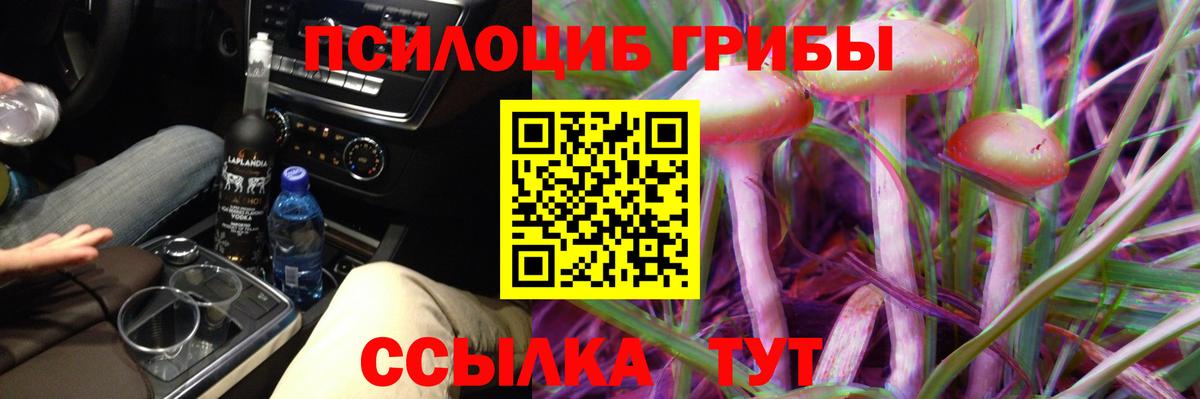 Псилоцибиновые грибы Cubensis Урай
